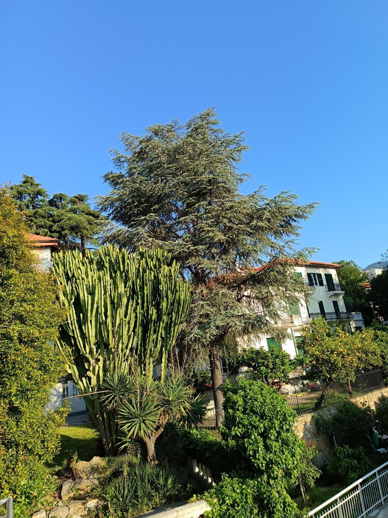 Casa Francesca Con Parcheggio Gratuito Leilighet Sanremo Eksteriør bilde